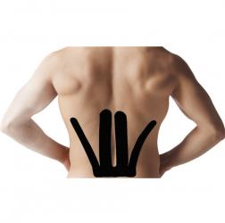 SpiderTech Kinesio Tape LOW BACK Spider 5 pack