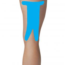 Spider Tech HAMSTRING by 5 pack