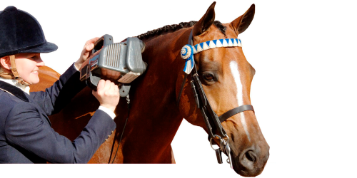 Masseur professionnel équin Thumper pro