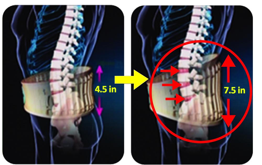 Dr.Ho's 2-in-1 Decompression Back Belt