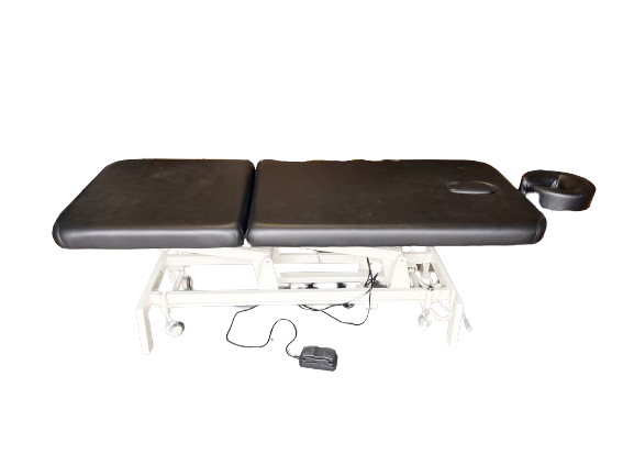 A-LEK Electric Height Control Facial Massage Treatment Table-TS-2115