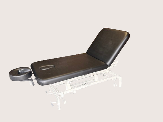 A-LEK Electric Height Control Facial Massage Treatment Table-TS-2115