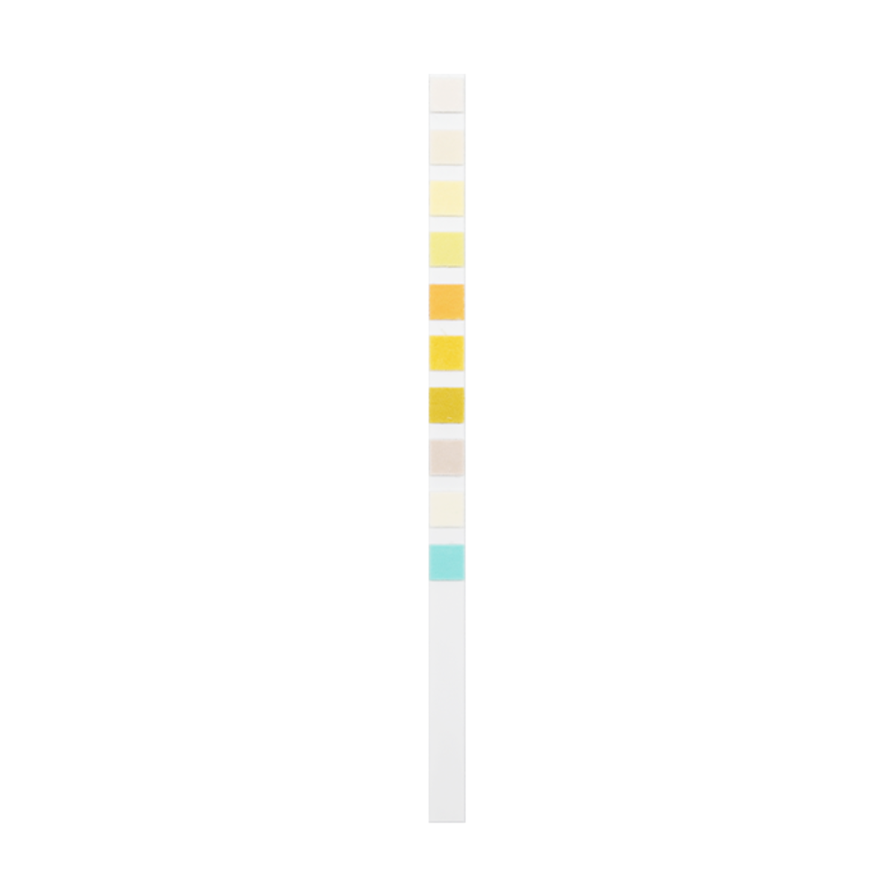 A single vertical urinalysis test strip showing the 10 distinct chemical reagent pads before use.