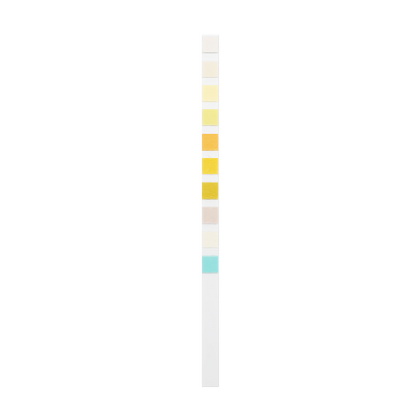 Urinalysis Reagent Strips – 10 Parameter Urine Test Strips (100 Pack)