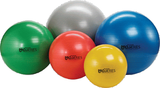 TheraBand Pro-Series SCP Exercise Balls
