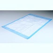 Blue Disposable Underpads 17"x 24" 2 ply - 300/case